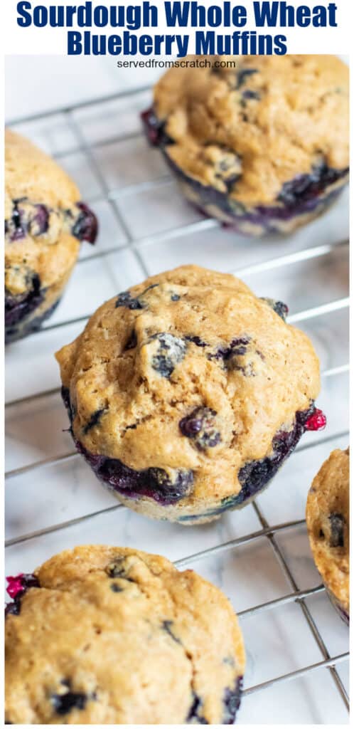 blueberry muffins lined up on a cooling rack with Pinterest pin text.