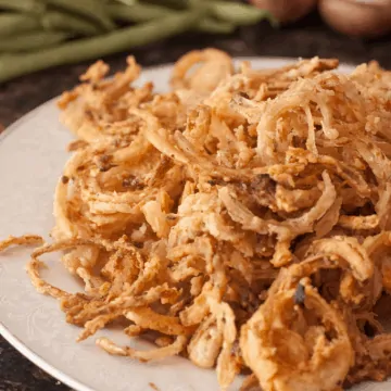 a plate of crispy fried onions.