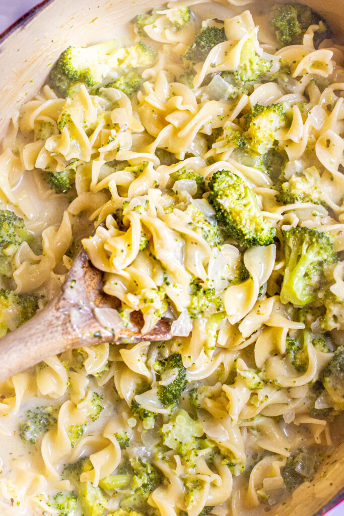 cooked creamy noodles and broccoli