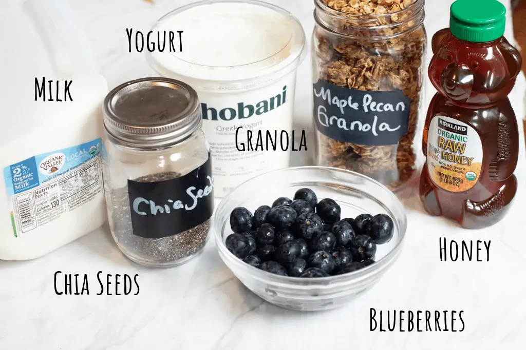 milk, chia seeds, yogurt, granola, honey, blueberries on a counter.