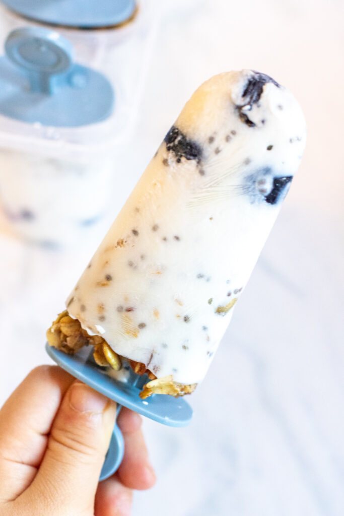 a hand holding a popsicle with blueberries and granola.