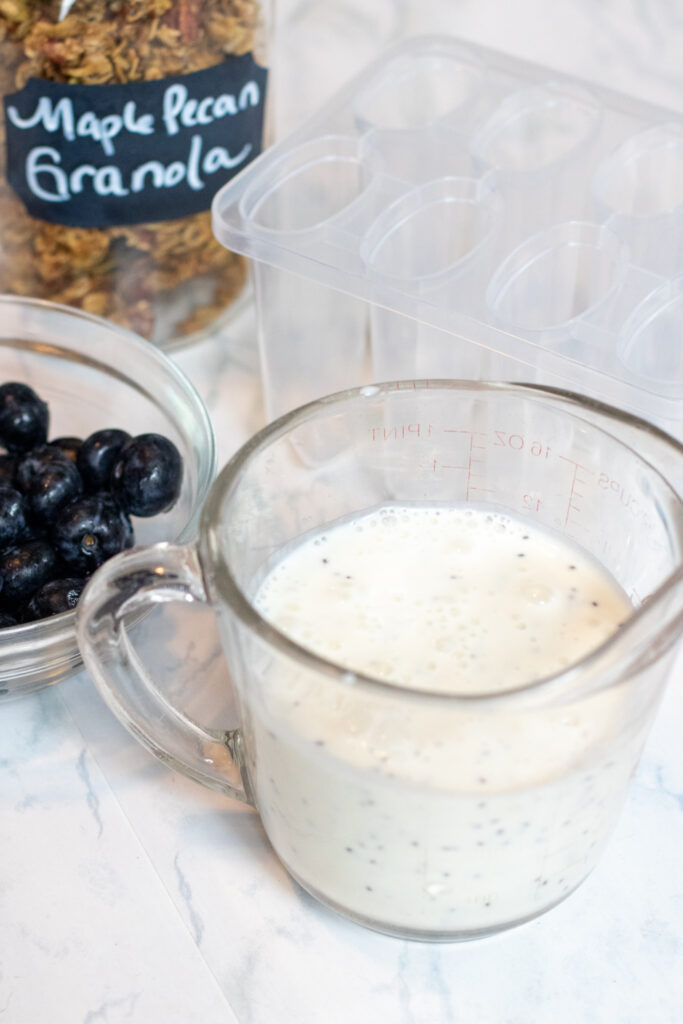 a pyrex with yogurt and milk and a bowl of blueberries and a jar of granola.