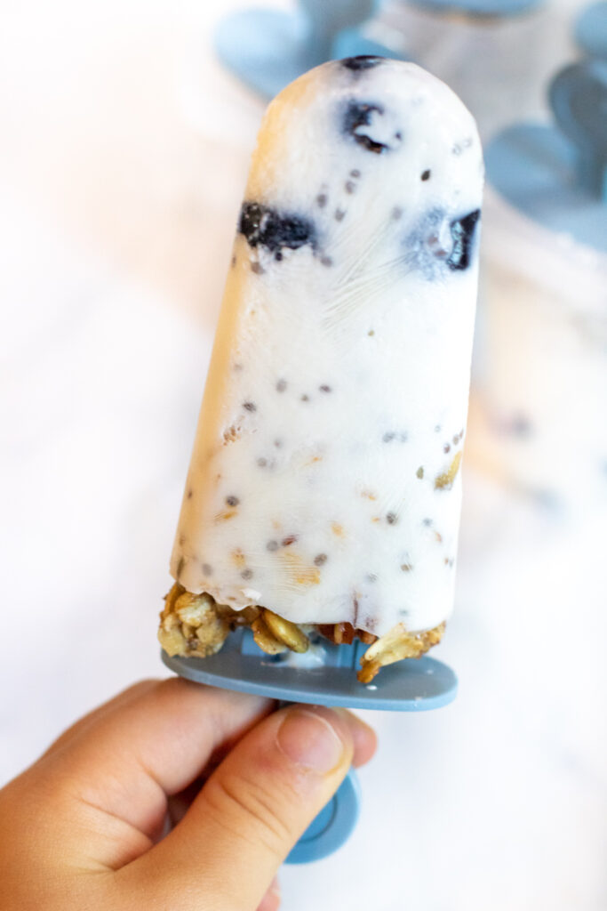 a hand holding a popsicle with blueberries and granola.