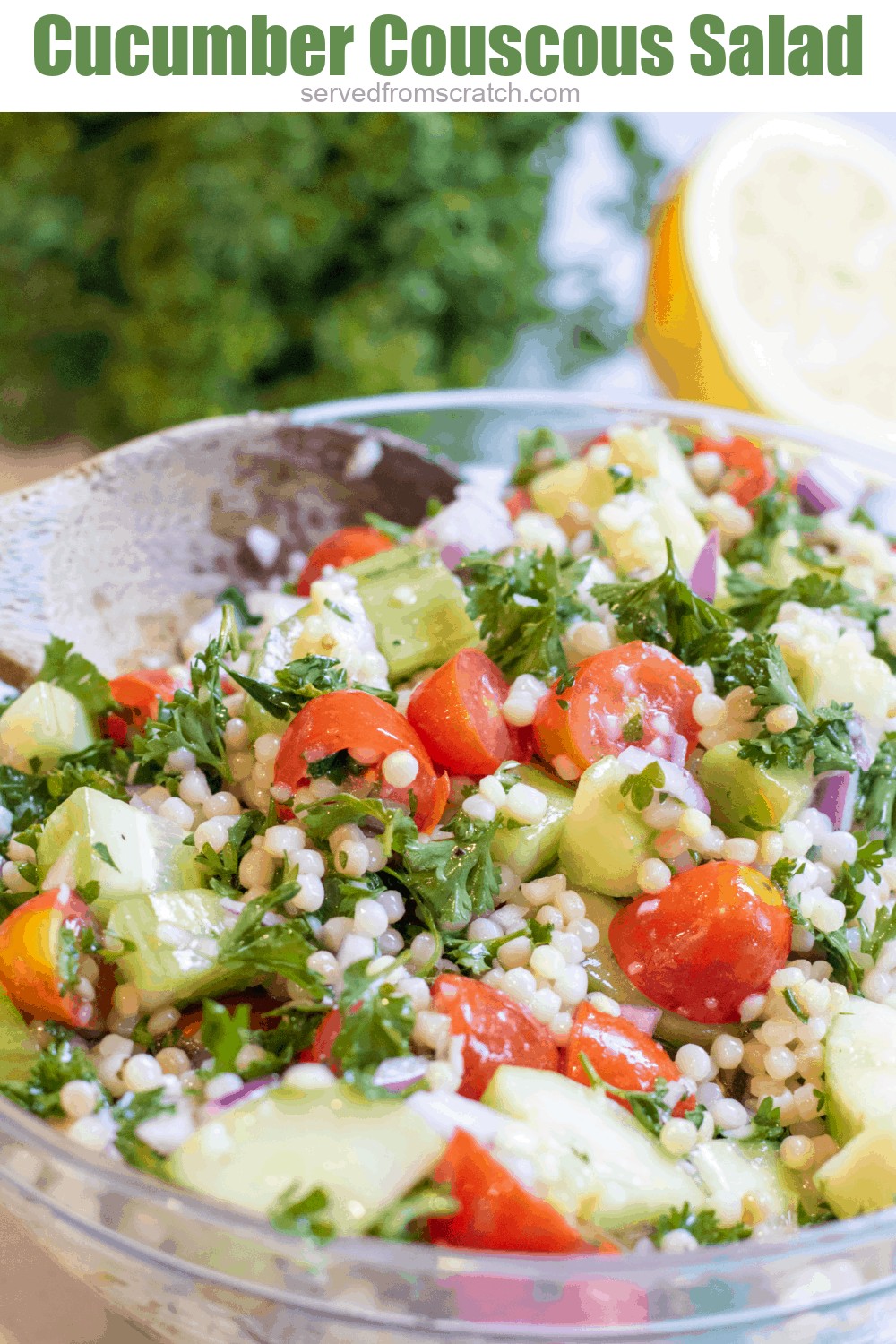 Israeli Couscous Cucumber Salad Served From Scratch