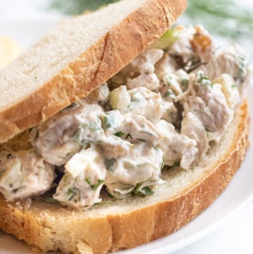 a stuffed sandwich with chicken salad on a plate with chips.