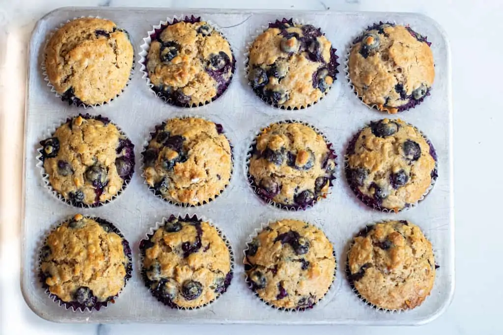 baked blueberry muffins in a tin.