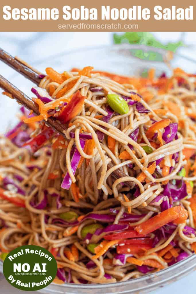 chopsticks holding up some noodles with edamame, carrots, cabbage, and red pepper with Pinterest pin text and NO AI sticker.