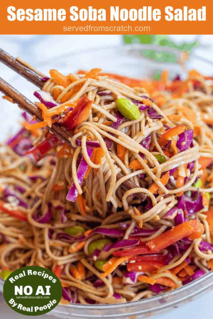 chopsticks holding up some noodles with edamame, carrots, cabbage, and red pepper with Pinterest pin text and NO AI sticker.
