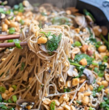 cast iron of noodles with spinach, mushrooms, topped with peanuts and scallions chopsticks holding up noodles.