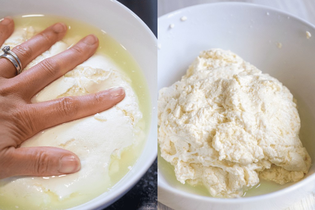 Fresh Mozzarella from Scratch Served From Scratch