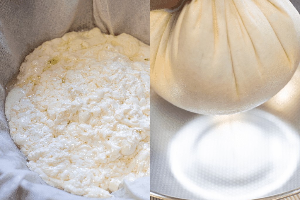 Fresh Mozzarella from Scratch Served From Scratch