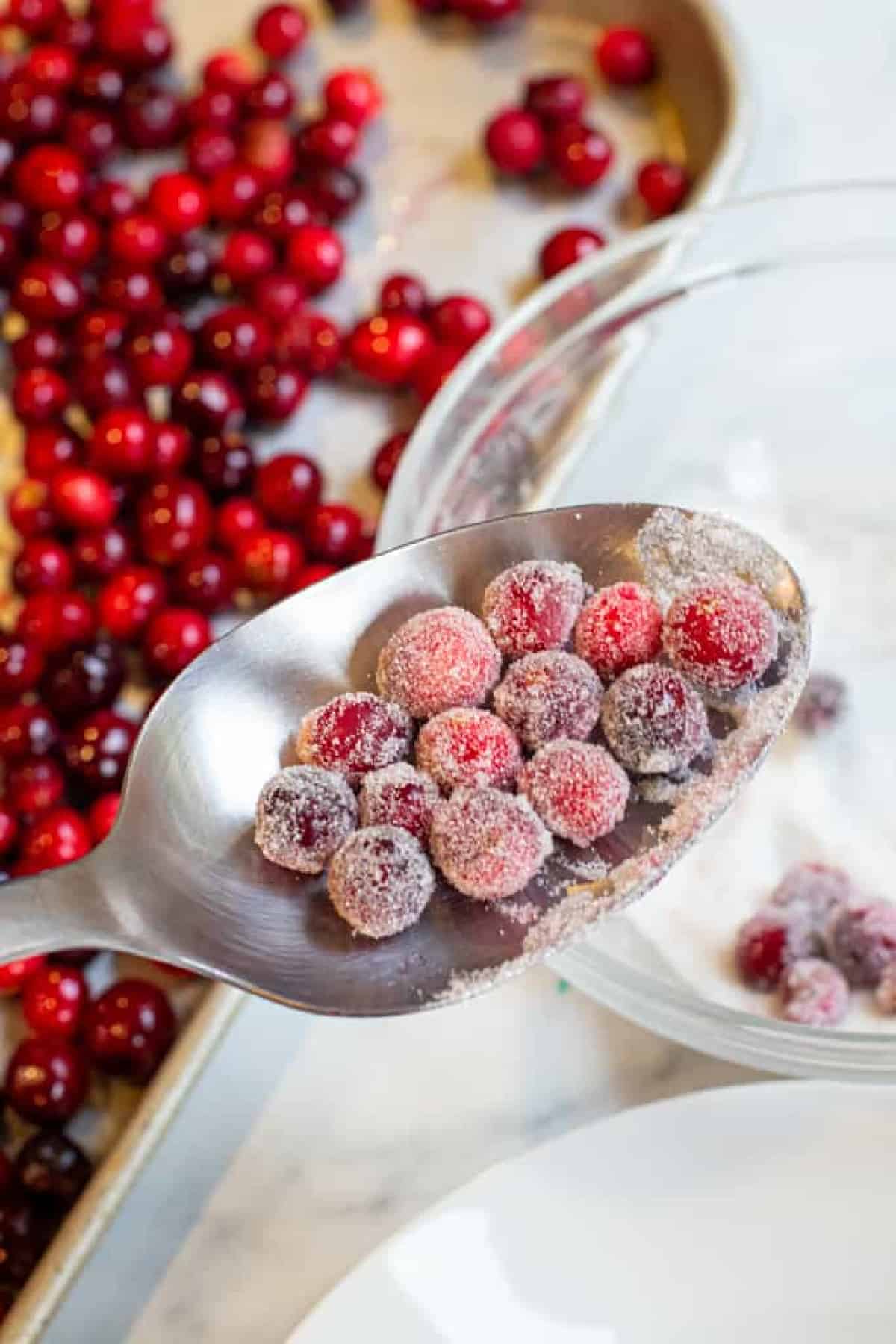 a spoon holding sugered cranberries.