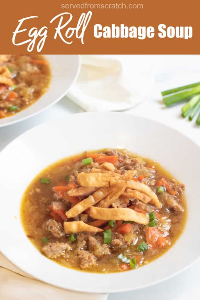 close up of a bowl of soup with pork, carrots, green onions, and a fried topping with Pinterest pin text.