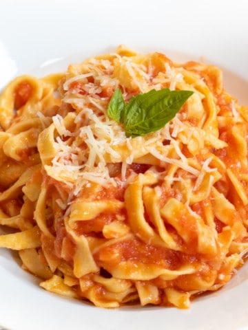 a plate of fresh pasta and marinara sauce.