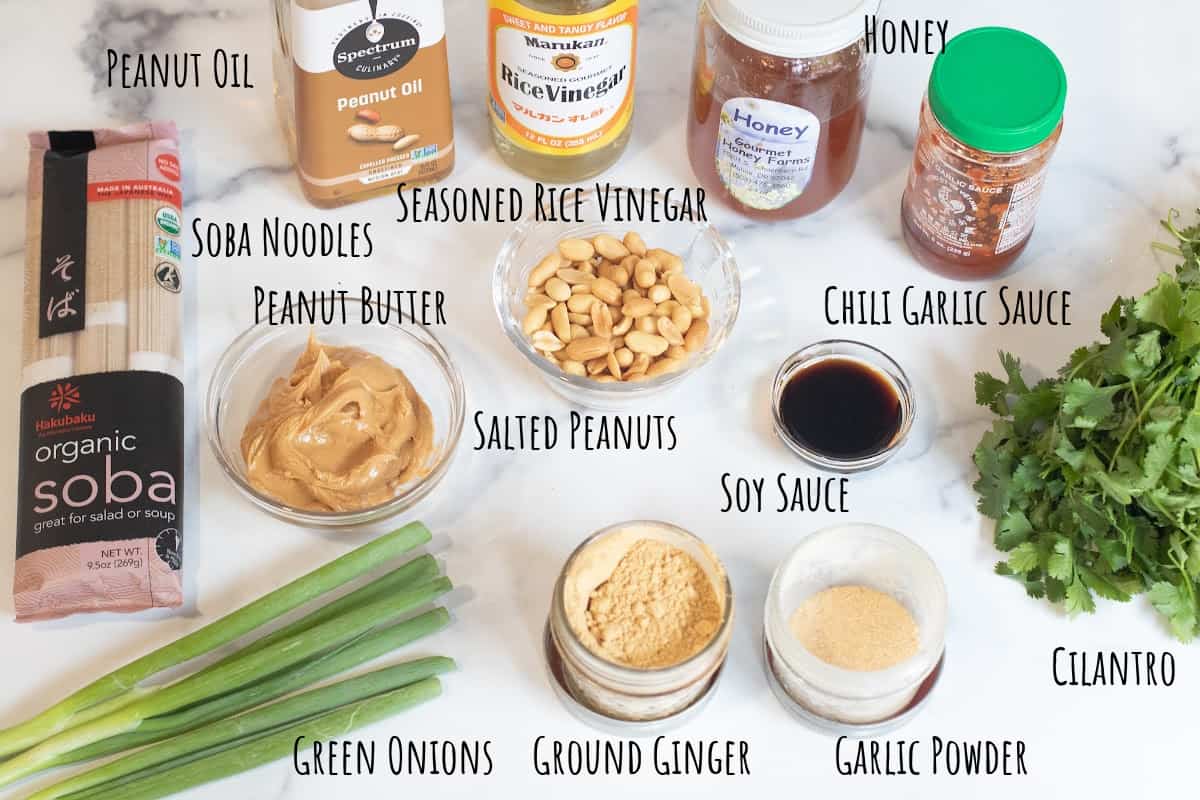 noodles, PB, onions, cilantro, spices, soy, honey, rice vineagar, peanuts, peanut oil on counter.