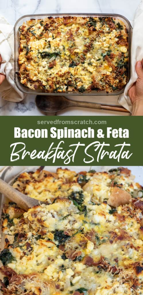 a close up of a spoon with a breakfast strata with spinach and bacon.