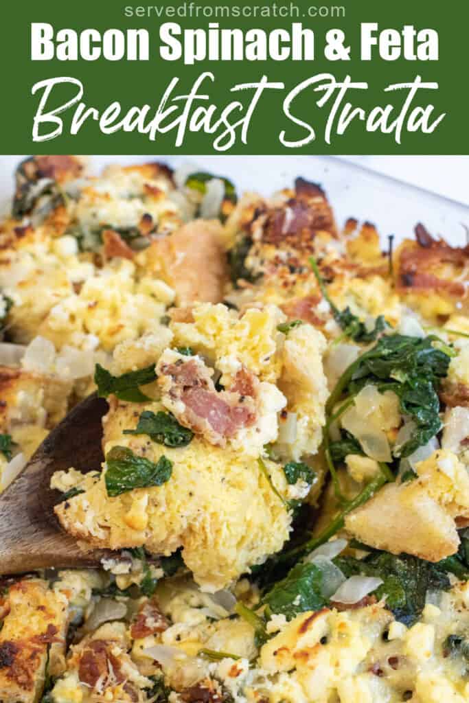 a close up of a spoon with a breakfast strata with spinach and bacon with Pinterest pin text.