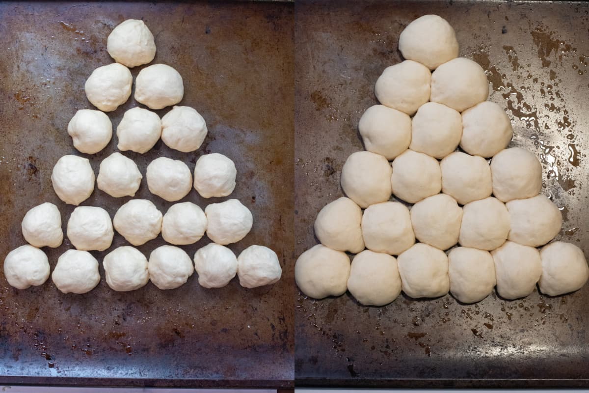 dough balls shaped into a Christmas tree and then all of the doughs risen.