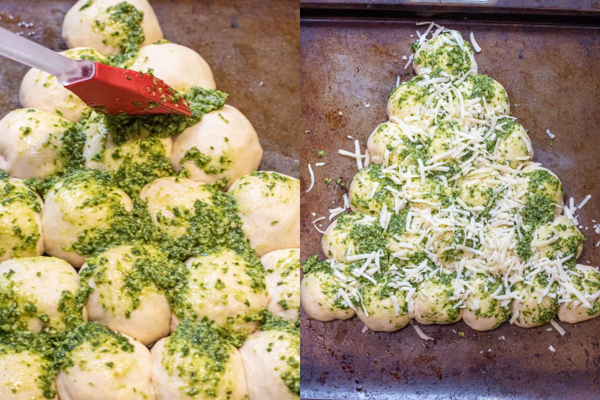 a brush adding pesto to dough balls and then it covered in shredded cheese.