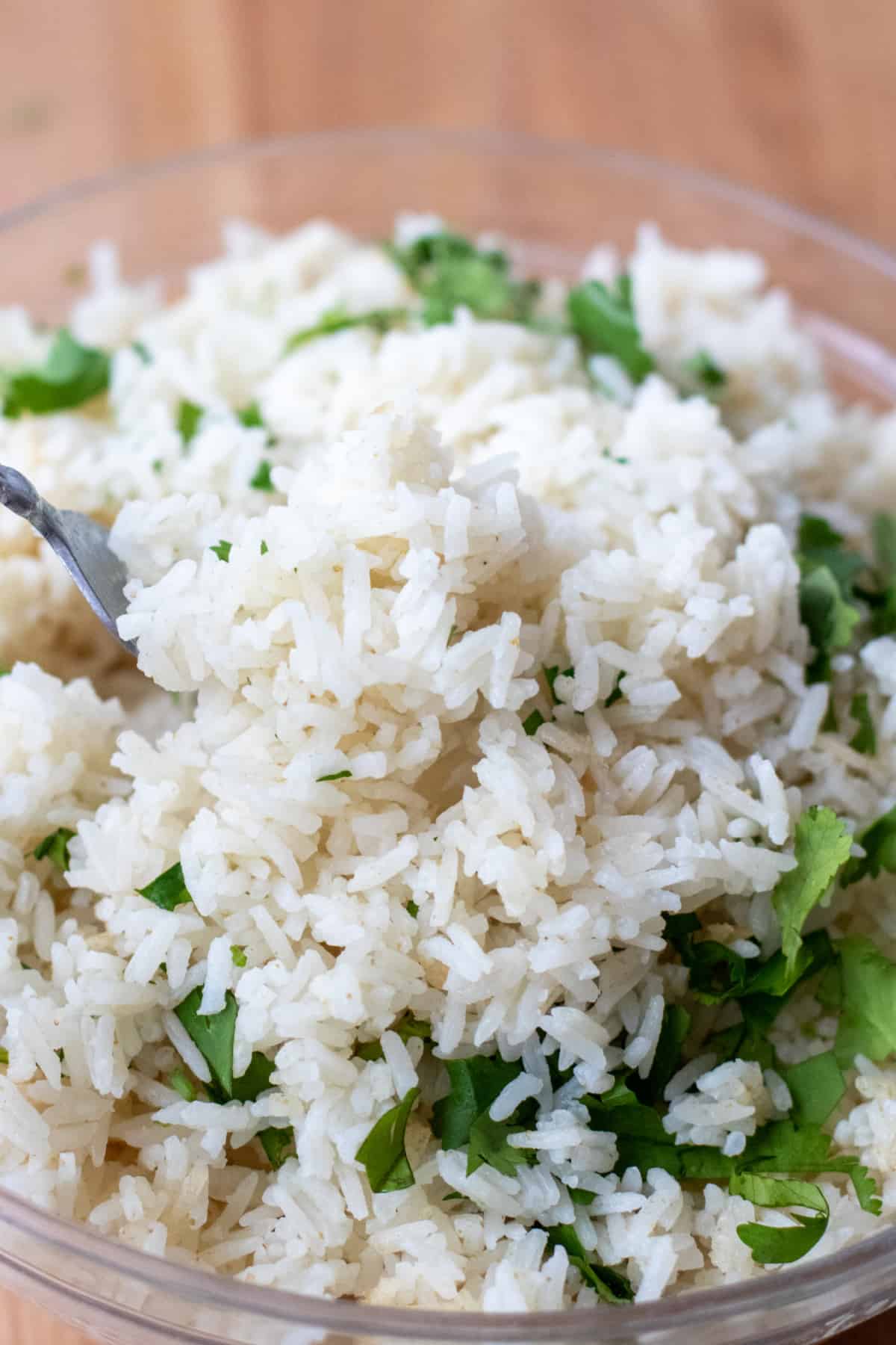 a fork holding up some fluffy white rice with cilantro.