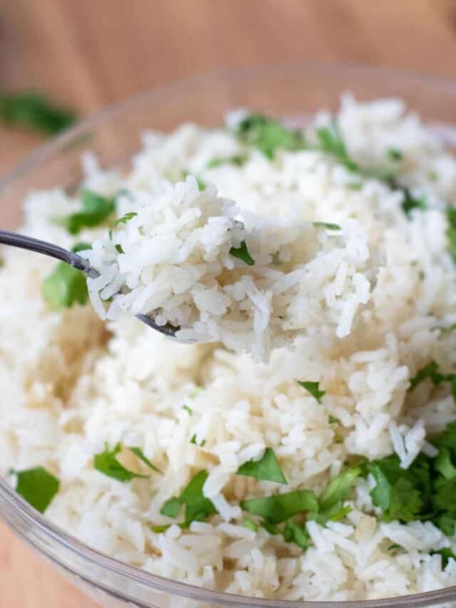 Coconut Jasmine Rice Served From Scratch