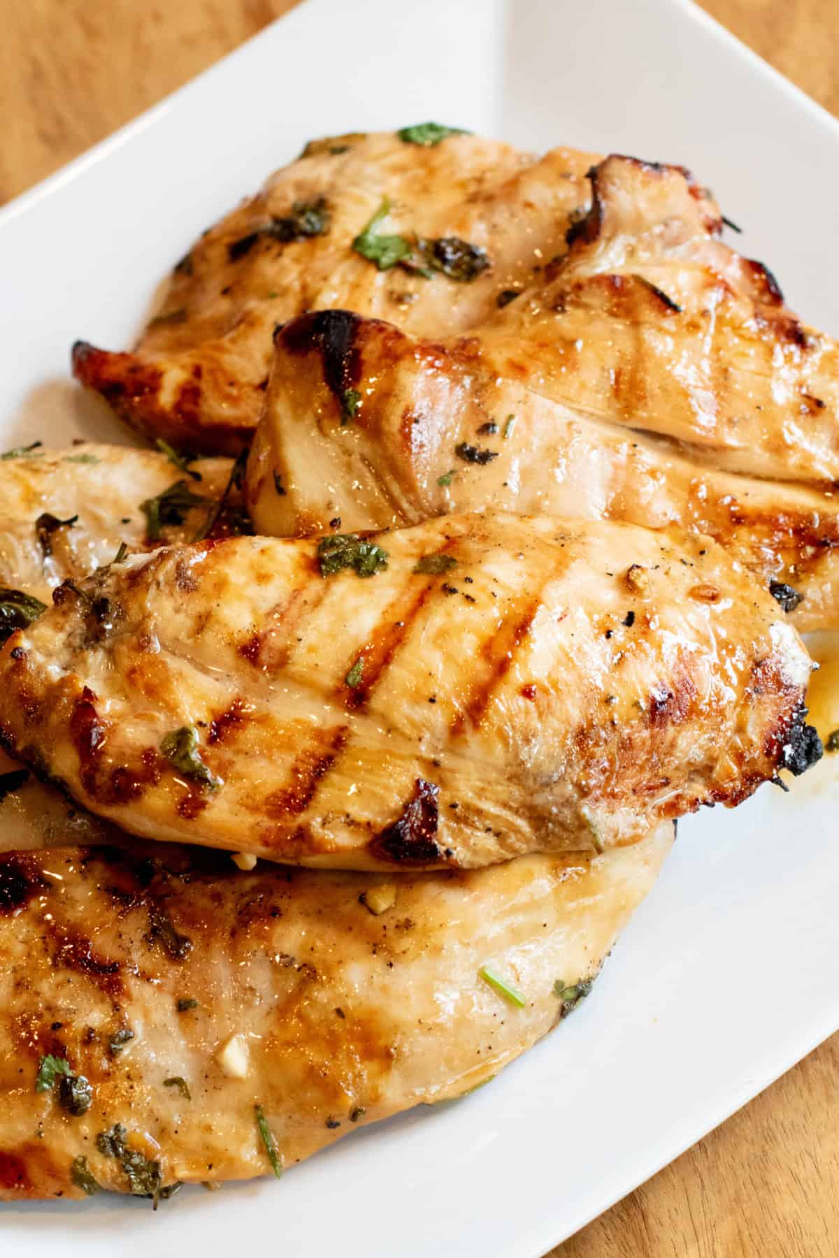 a plate of grilled chicken.