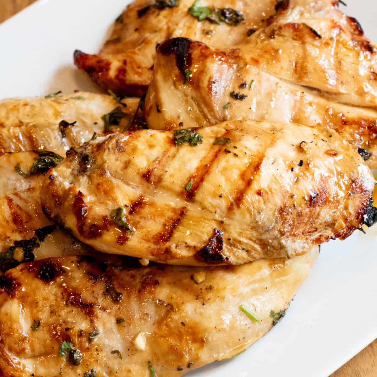 a plate of grilled chicken breasts.