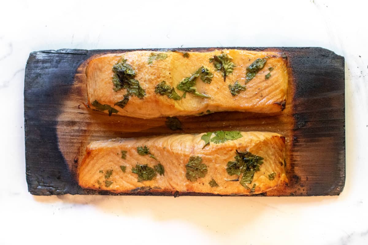 salmon fillets on cedar charred cedar planks.