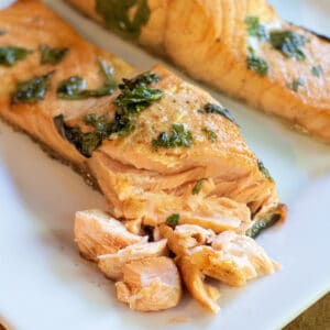 salmon fillets on a plate with pieces flaked off.