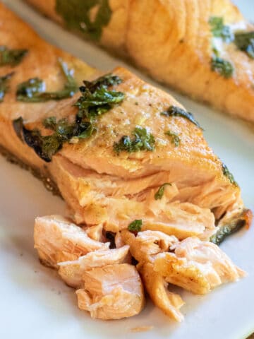 salmon fillets on a plate with pieces flaked off.