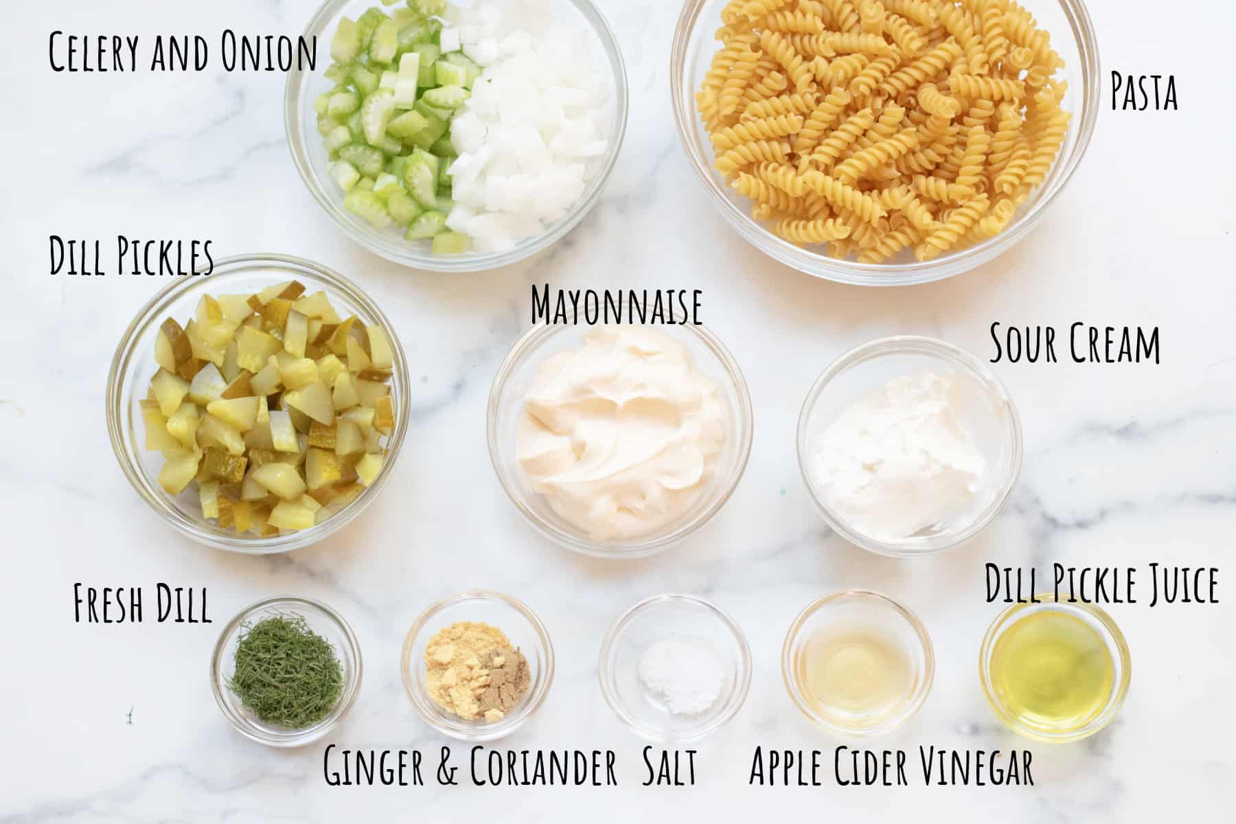a bowl of celery and onion, dried rotini pasta, dill pickles chopped, mayo, sour cream, dill, spices, salt, vinegar, and pickle juice.