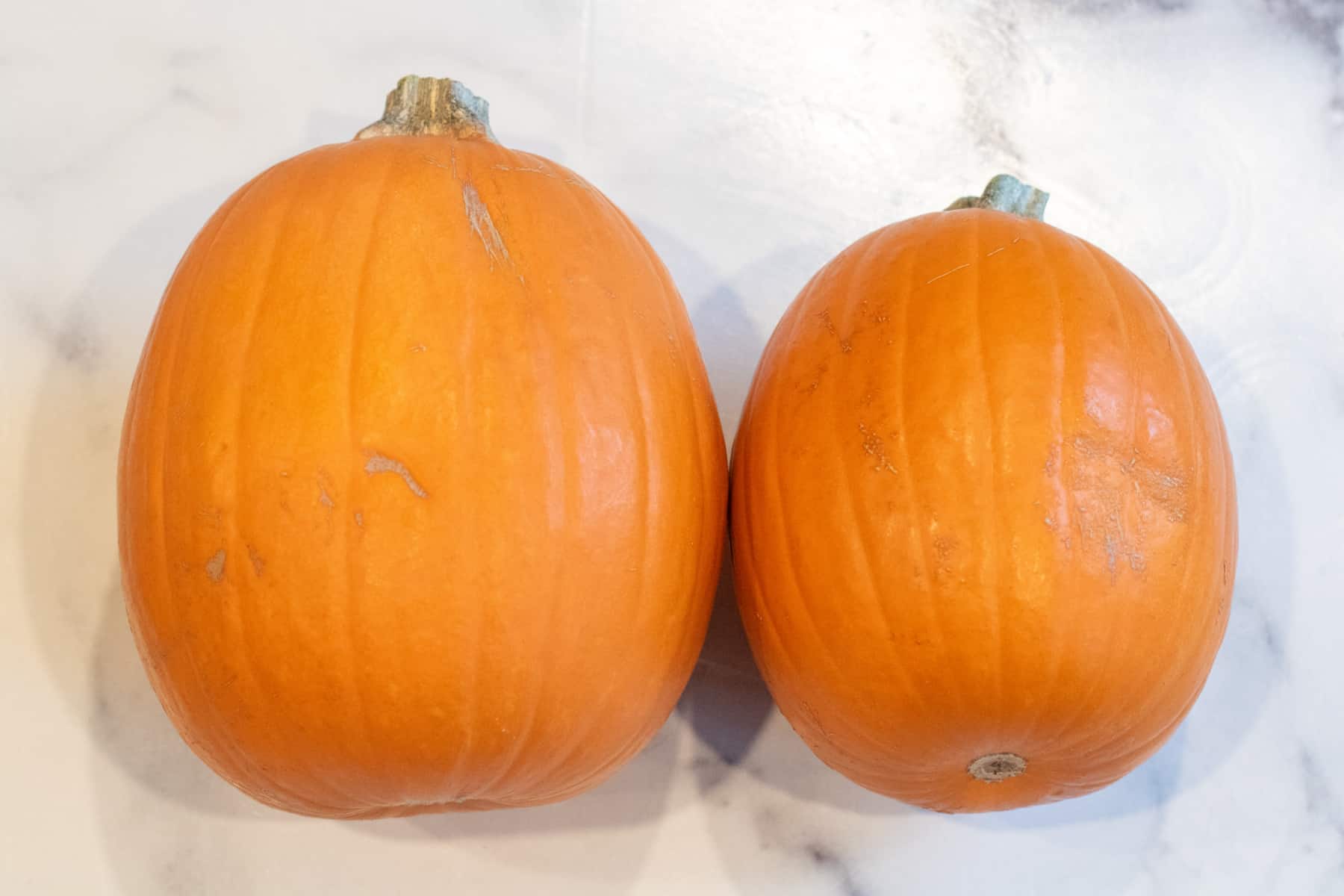 two small pumpkins.