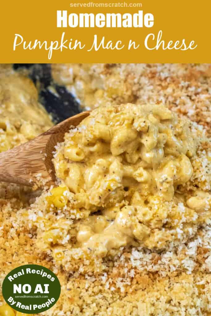 Creamy homemade pumpkin mac and cheese served in a bowl with breadcrumb topping.
