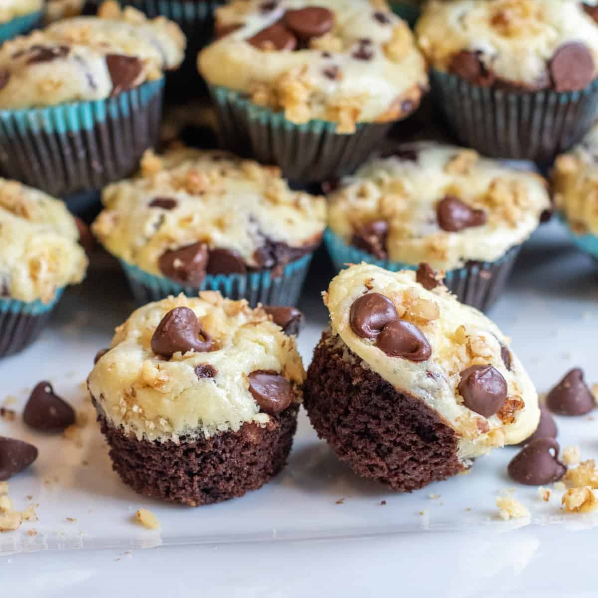 mini chocolate cupcakes with cream cheese topping and chocolate chips and walnuts on top.