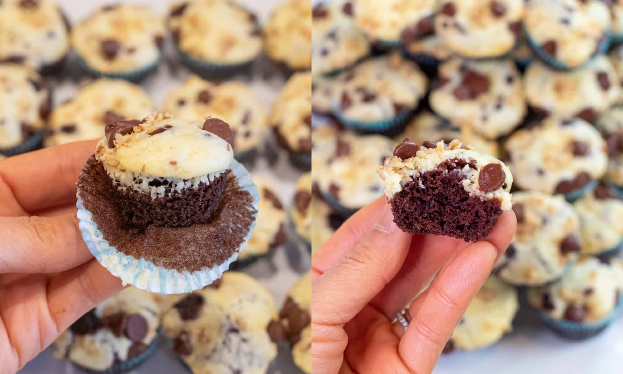 a hand holding a mini chocolate cupcake with cream cheese topping. and a hand holding a mini chocolate cupcake with cream cheese topping with a bite taken out.