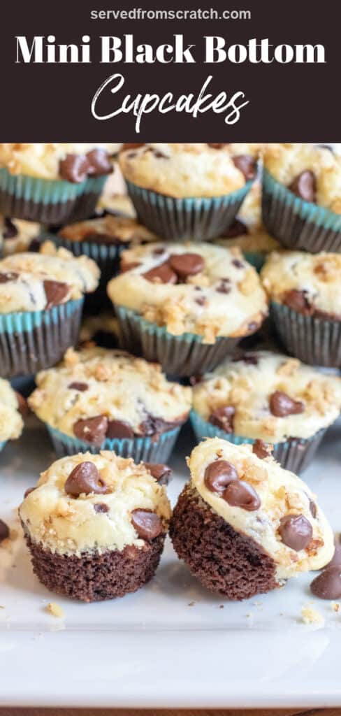a plate of mini chocolate cupcakes with cream cheese topping and chocolate chips and walnuts on top with Pinterest pin text.