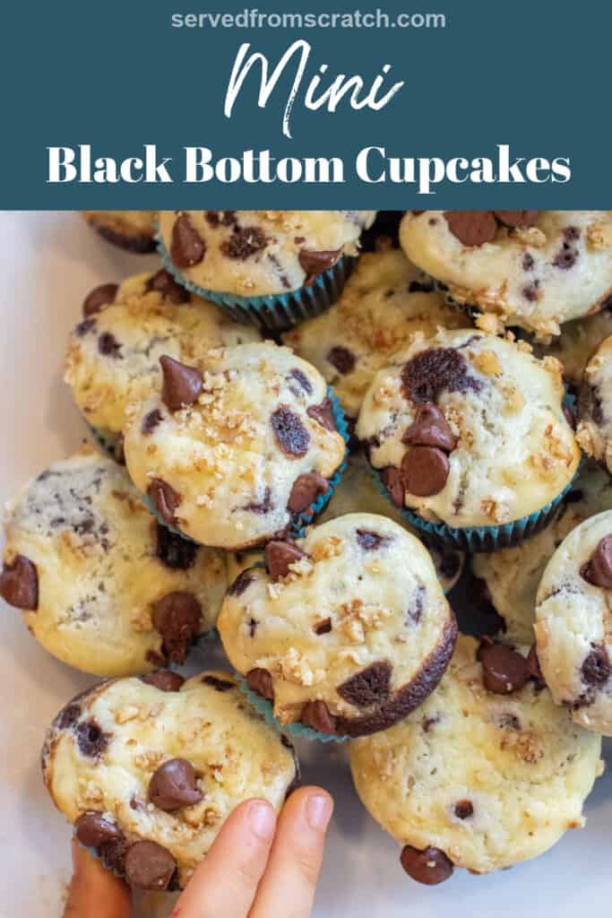 a plate of mini chocolate cupcakes with cream cheese topping and chocolate chips and walnuts on top with Pinterest pin text.