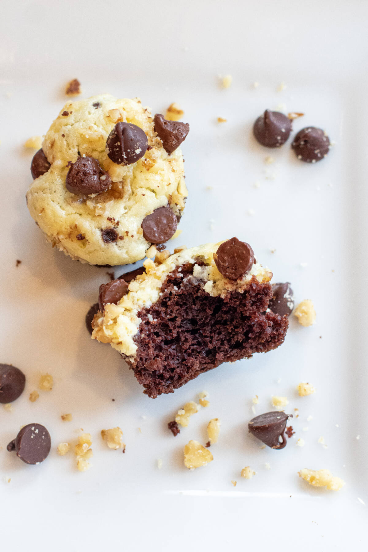 a plate of two little mini chocolate cupcakes with cream cheese topping and one with a bite taken out.