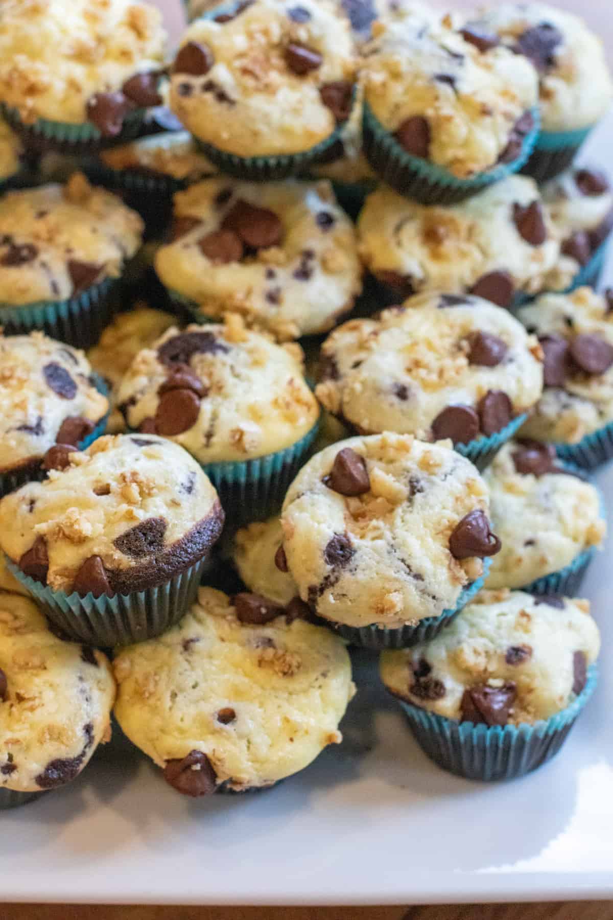 a plate of mini chocolate cupcakes with cream cheese topping and chocolate chips and walnuts on top.