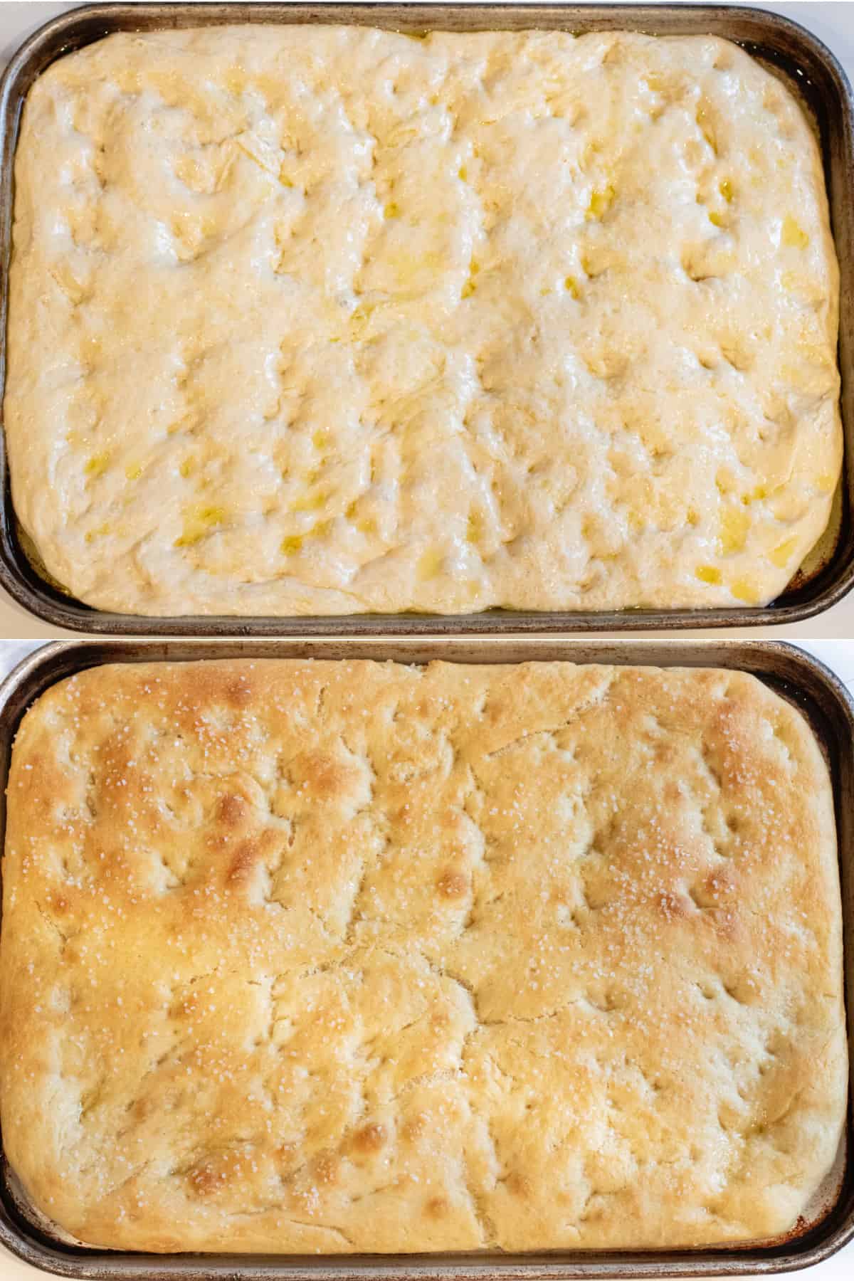 a risen and dimpled and oiled dough on a sheet and then it baked.