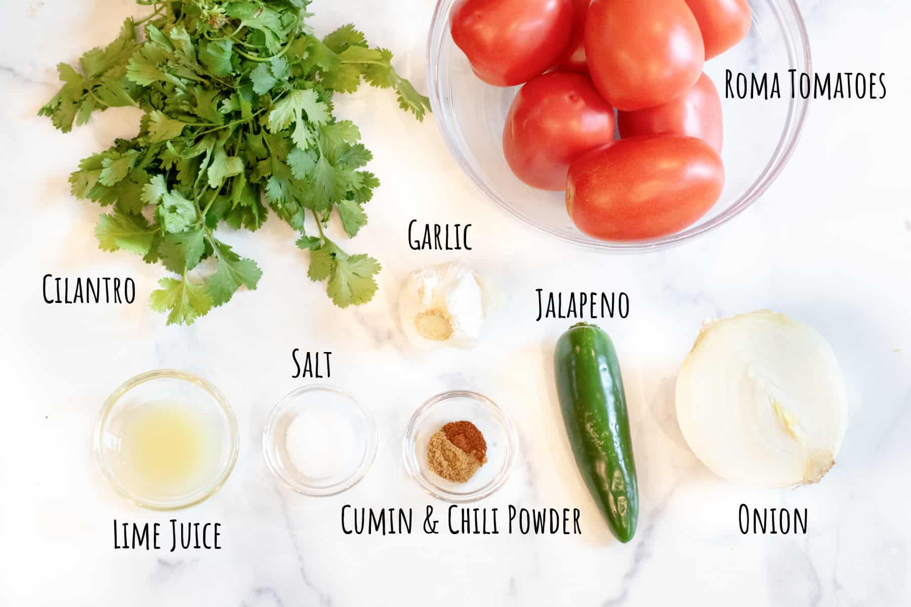 a bowl of tomatoes, fresh cilantro, jalapeno, half an onion, spices, lime juice, and salt and garlic on a counter, labeled.