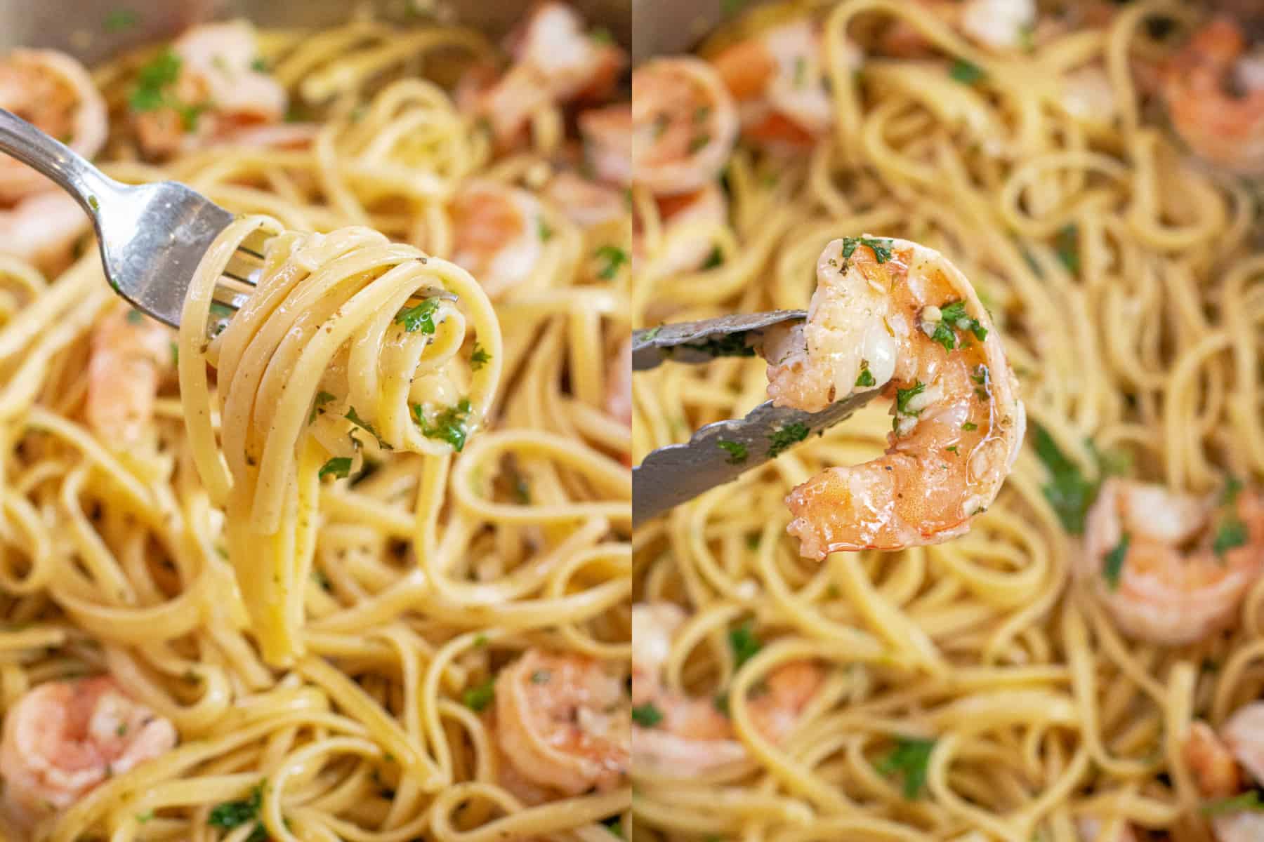 a fork of scampi noodles and linguine and then tongs holding a cooked shrimp over a pan of shrimp scampi.