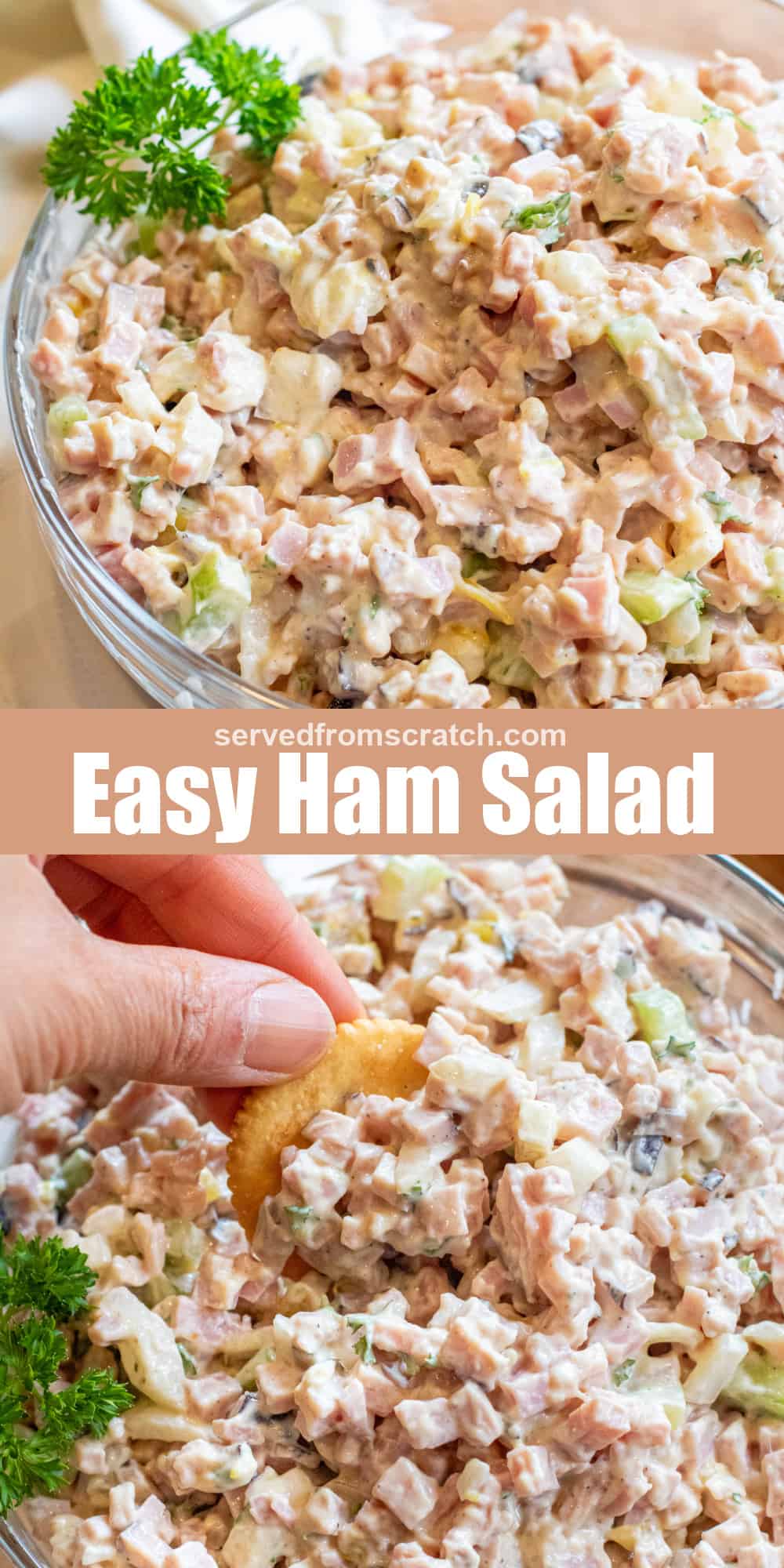Easy Ham Salad Served From Scratch
