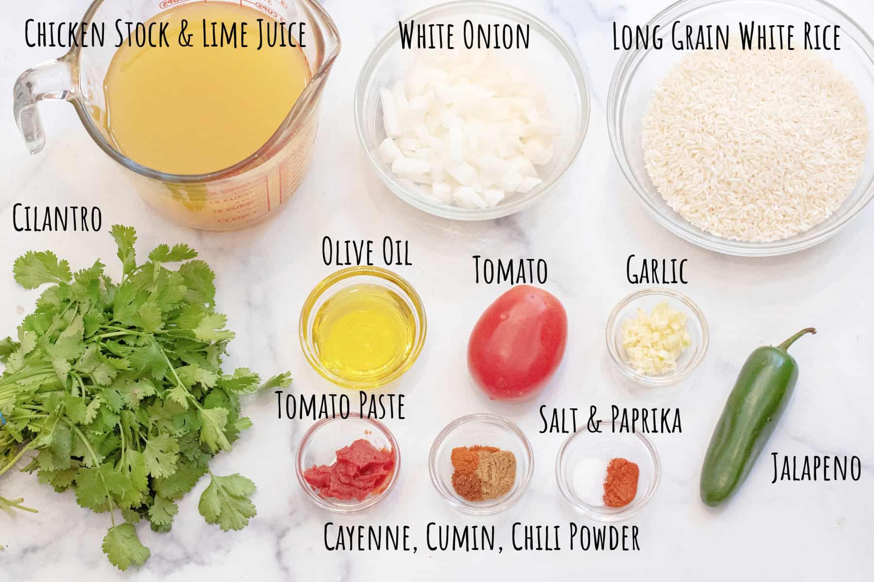 chicken stock, rice, onion, cilantro, oil, tomato, garlic, tomato paste, slices, and a jalapeño labeled on a counter.