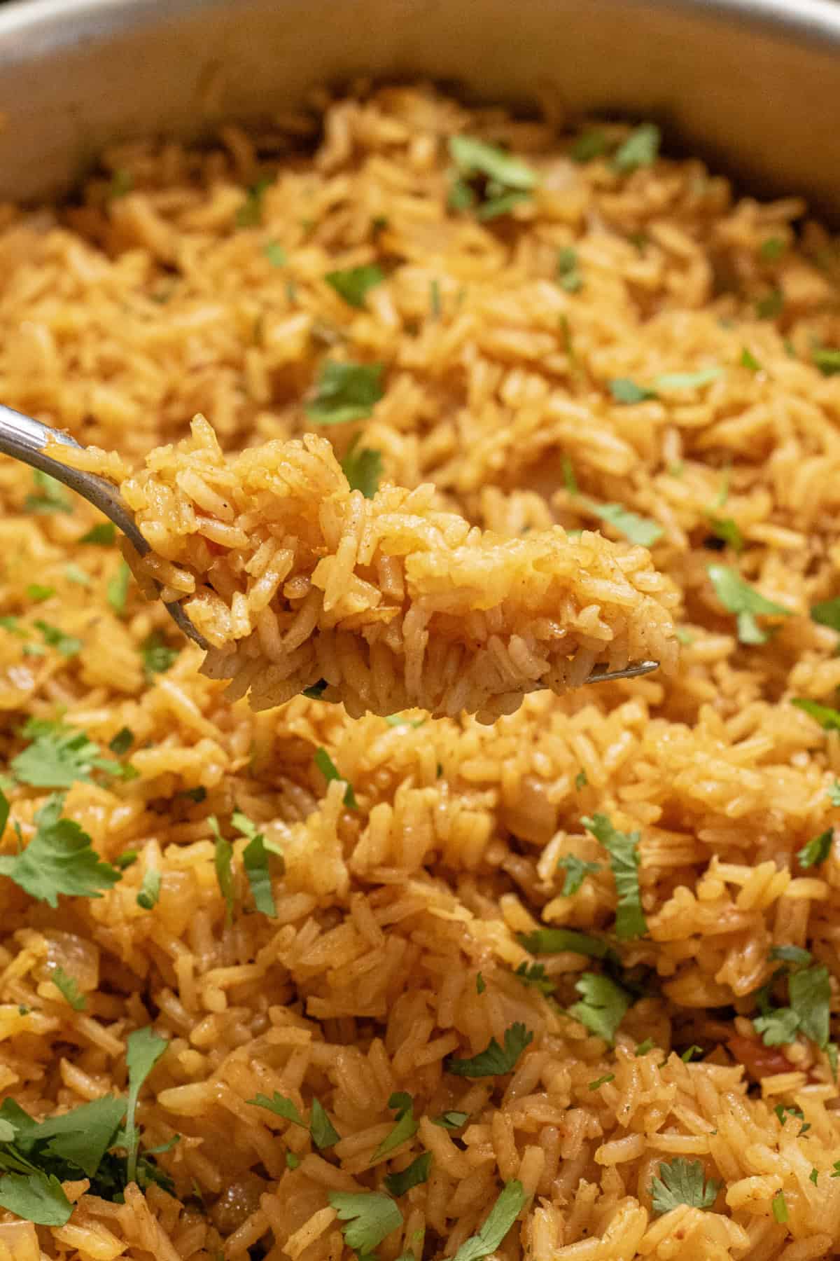 fluffy rice in a pan with cilantro and a fork holding up some.