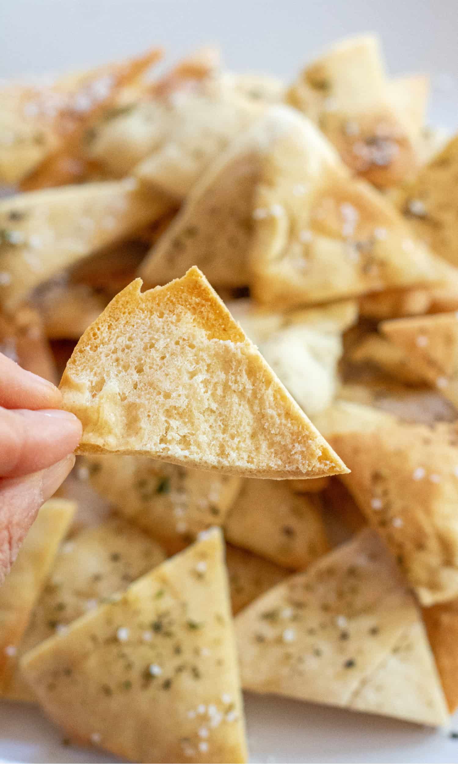 a hand holding a crispy pita chip.