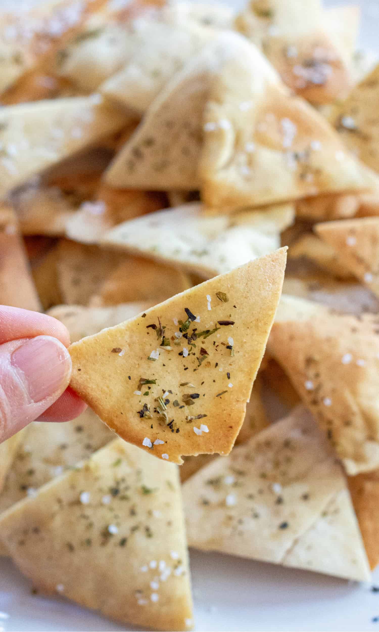 a hand holding a crispy pita chip.