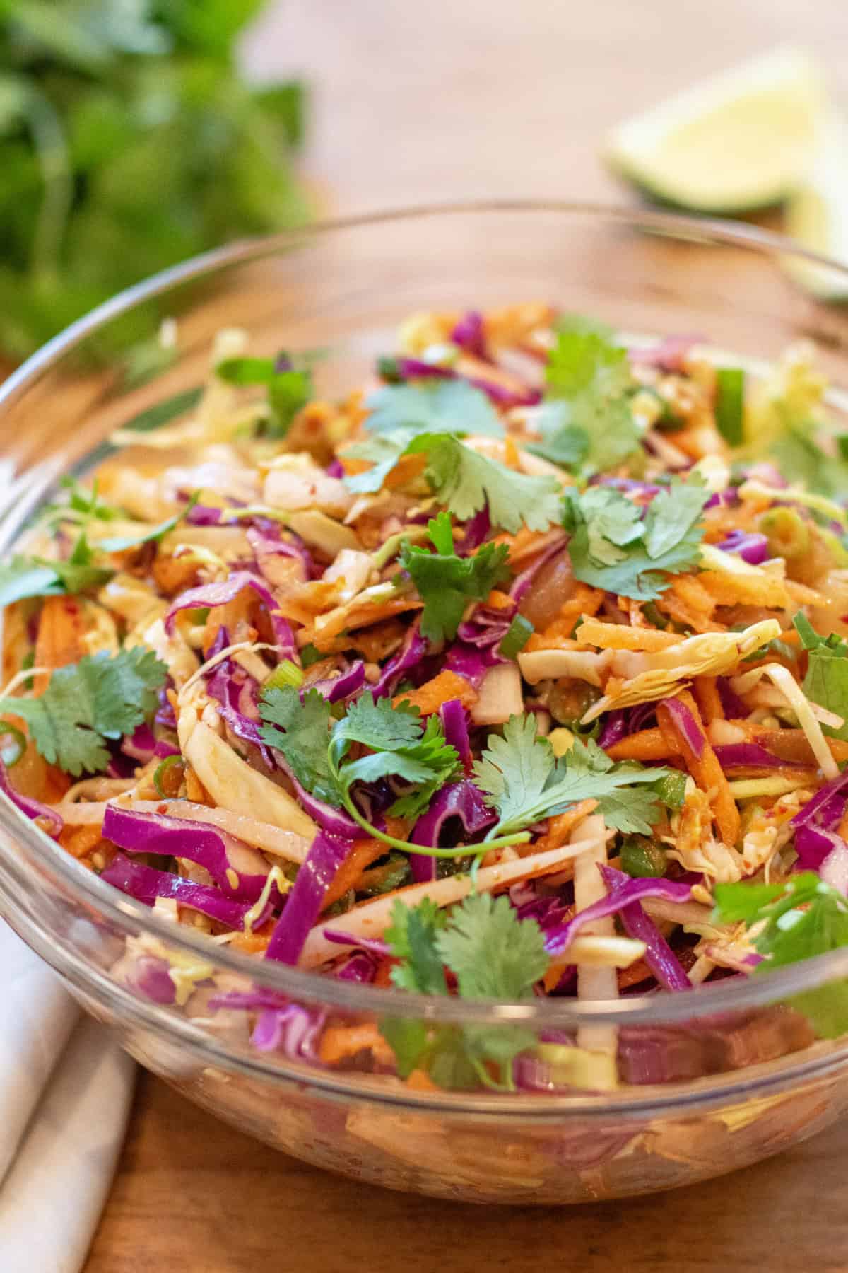 a large bowl of cabbage slaw topped with cilantro.