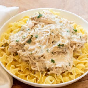 a bowl of pasta with creamy shredded chicken on top.