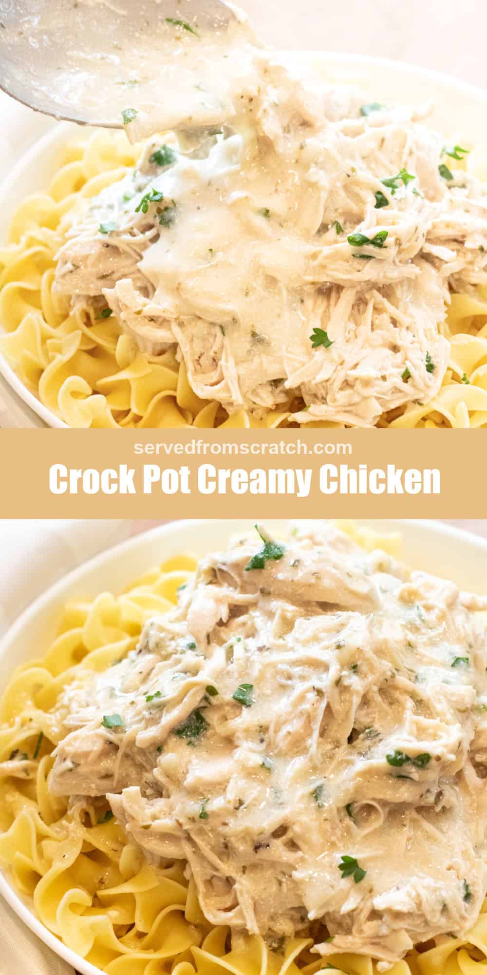 Crock Pot Creamy Chicken - Served From Scratch